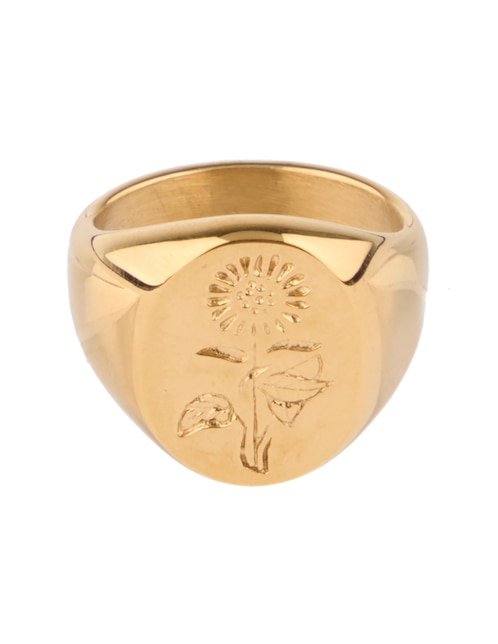 Anillo ovalado Map pulido