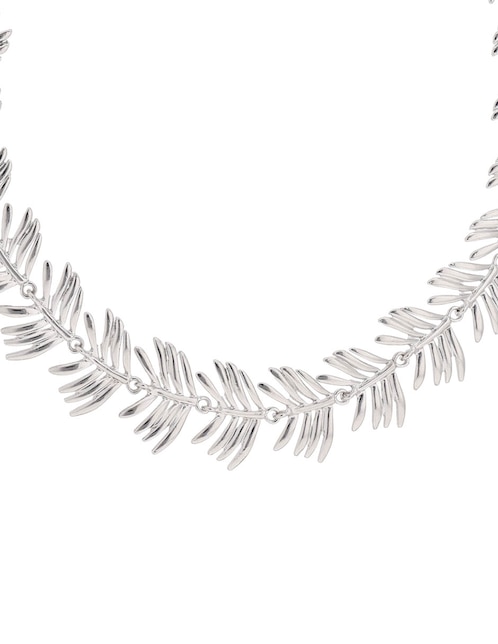 Collar 1