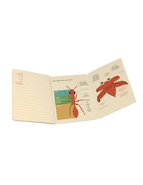 Libreta Unemployed Philisophers Guild hoja rayada