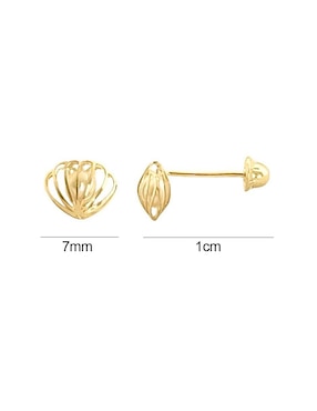 Broqueles de concha Lenna de oro perla
