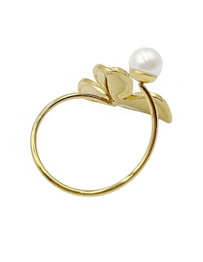 Anillo de flor Map brillante