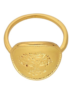 Anillo Map pulido