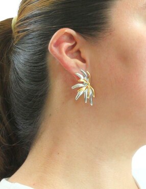 Aretes Nuvi con acabado brillante