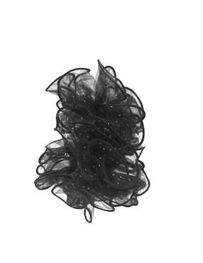 Dona cabello Map
