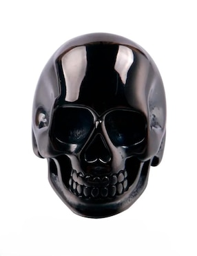 Anillo de calavera Nira brillante