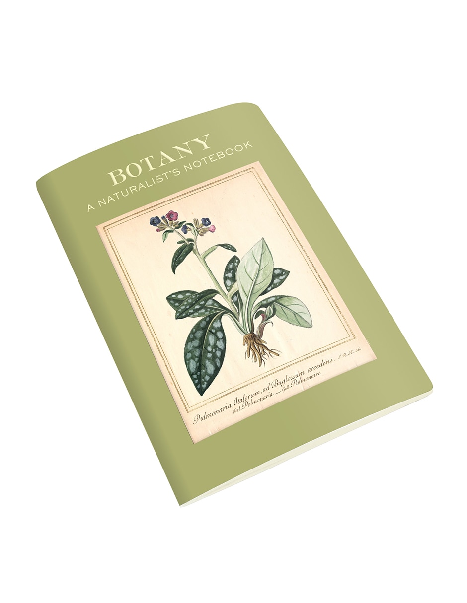 Libreta hoja rayada 4