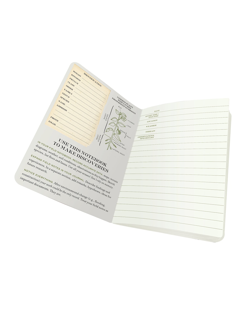 Libreta hoja rayada 6