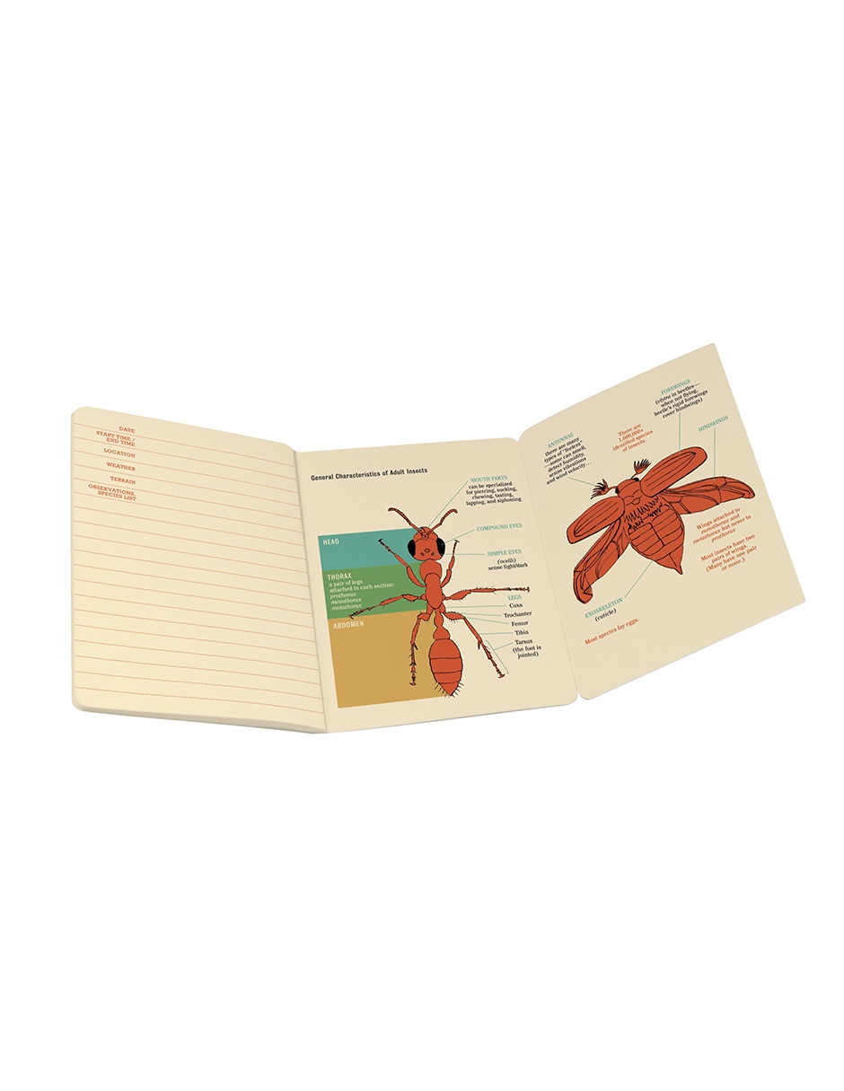 Libreta hoja rayada 3