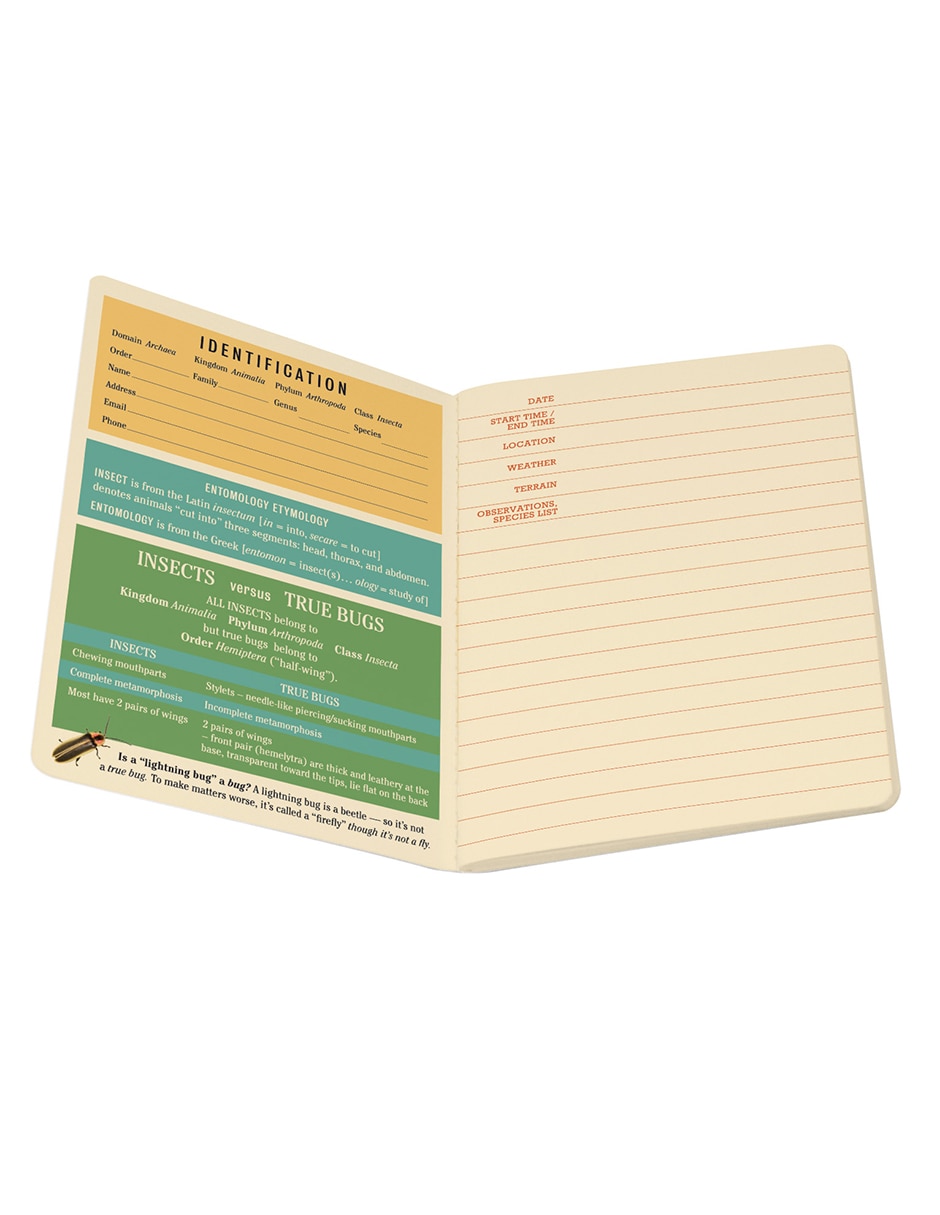 Libreta hoja rayada 4