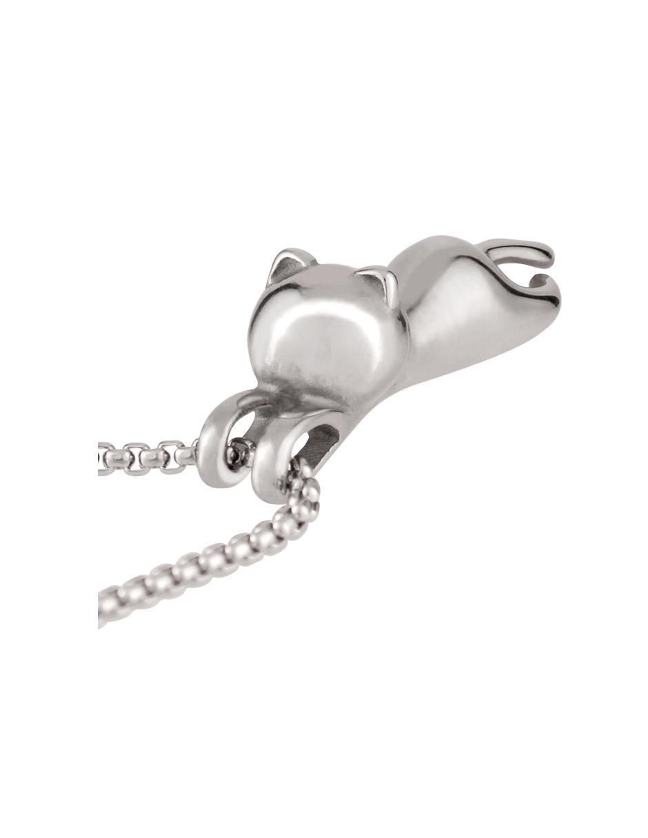 Collar de gato 2