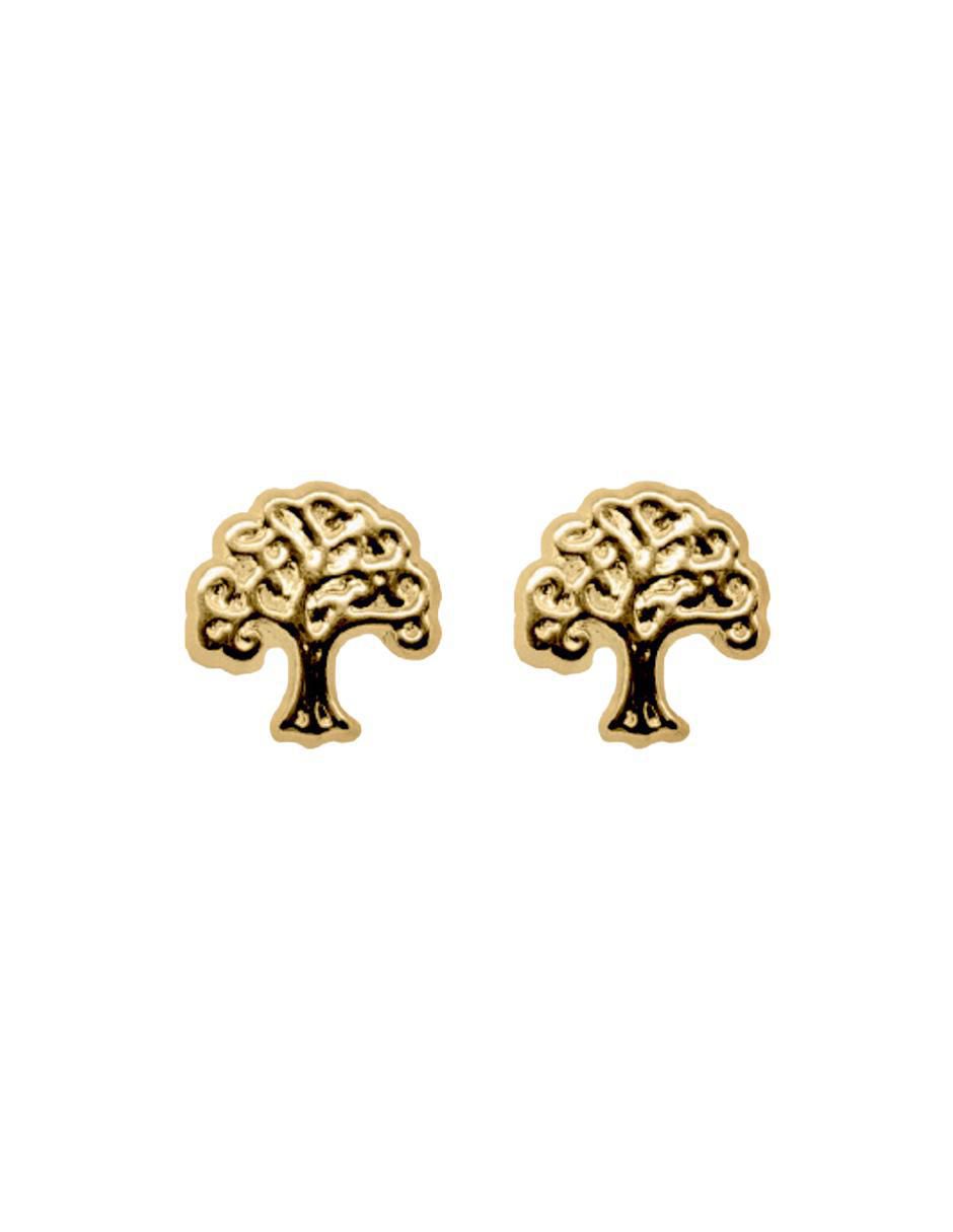 Broqueles de árbol de oro Broqueles de árbol de oro