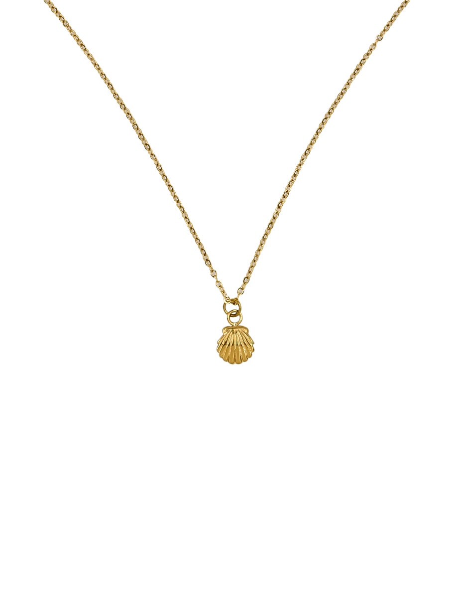 Collar con dije de concha