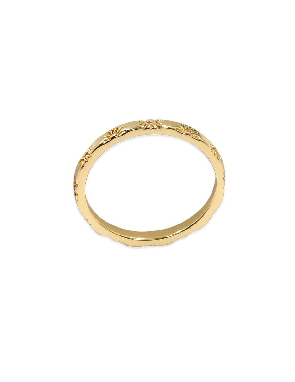 Set anillo pulido 2
