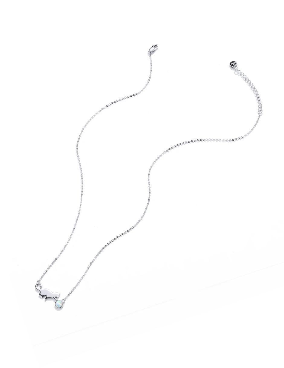 Collar de gato Pets de plata P 925 4