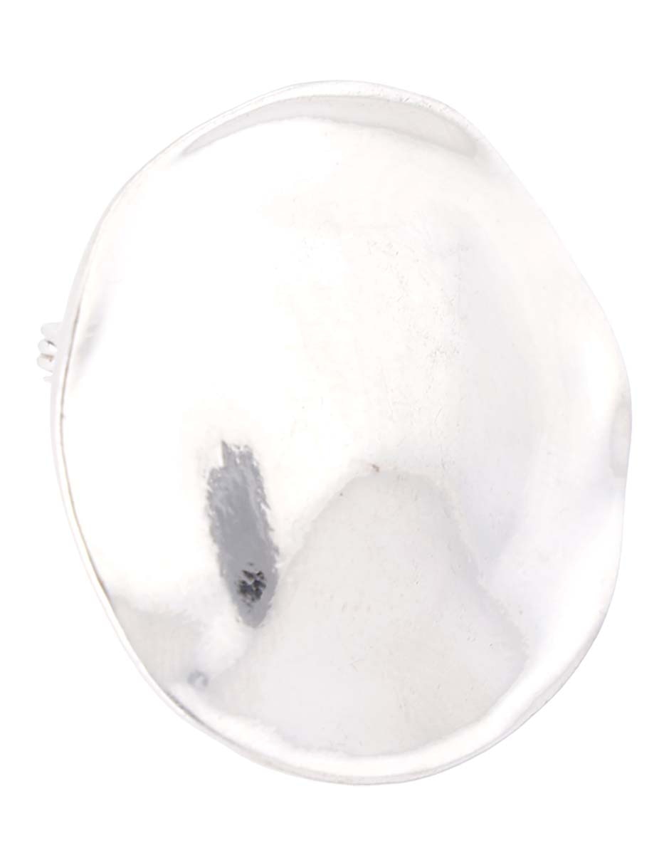 Broche para cabello con acabado brillante 2