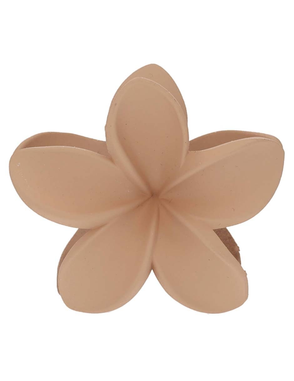 Set pinzas para el cabello de plástico 2