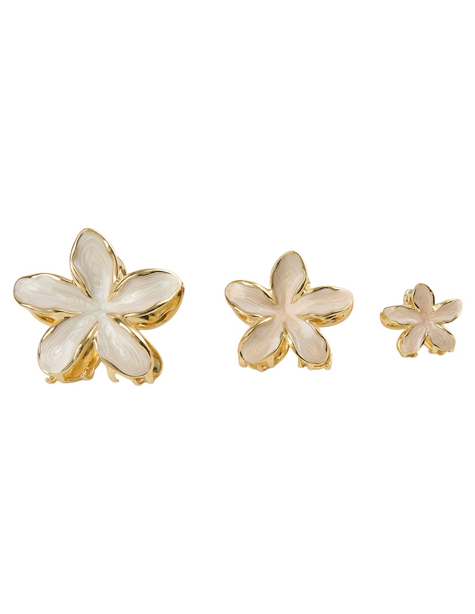 Set de pinzas para el cabello 1