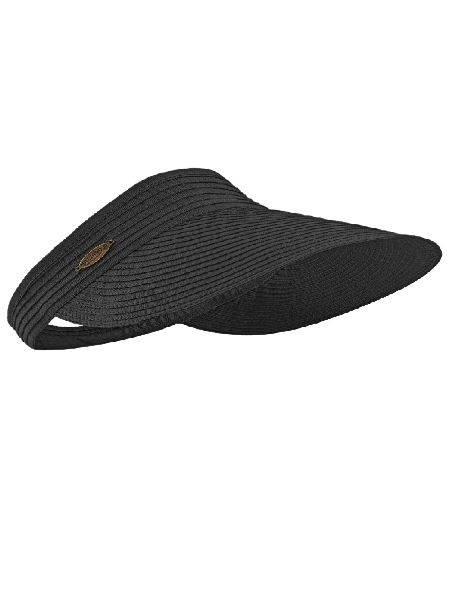 Visera